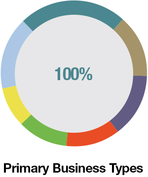 Business Type Chart